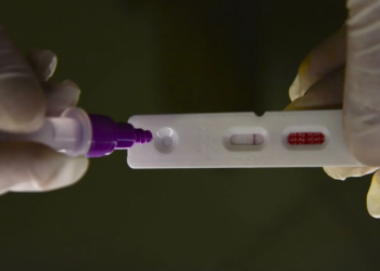 OMS: nova subvariante da Covid já foi detectada em mais de 50 países