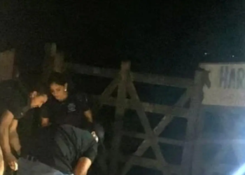 Agricultor é morto a tiros após sair de casa para alimentar animais na Bahia