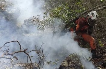 Mais de 350 bombeiros continuam a combater incêndios florestais na Bahia