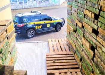 PRF apreende mais de 2 toneladas de maconha em caminhão frigorífico, na Bahia
