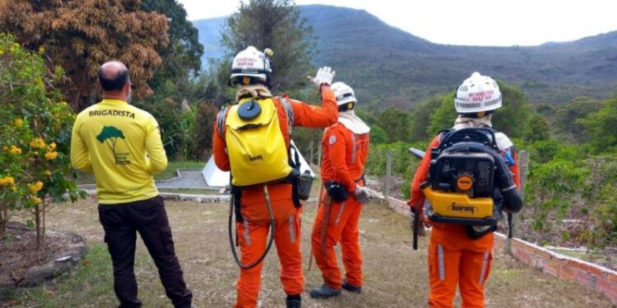 Incêndios na Chapada Diamantina: pelo menos 200 Bombeiros estão agindo