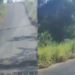 Mulher é presa após ser flagrada esfaqueando homem em rodovia na Bahia