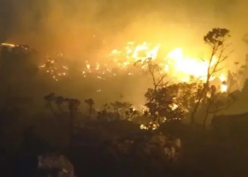 Fogo atinge 80 hectares de vegetação na Chapada Diamantina