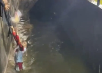 Torcedor do Vitória “cai” no fosso do estádio do Criciúma para pegar jaqueta