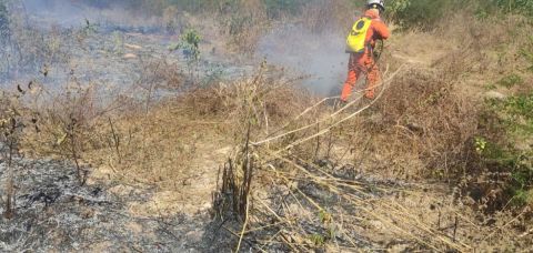 Mais de 220 bombeiros atuam no combate a incêndios no interior da BA