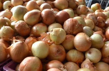 Preço das hortaliças cai nos principais mercados atacadistas