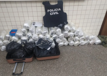 Polícia localiza imóvel utilizado pelo tráfico de drogas em Abrantes