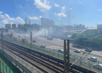 Princípio de incêndio atinge parte de vegetação em Pituaçu