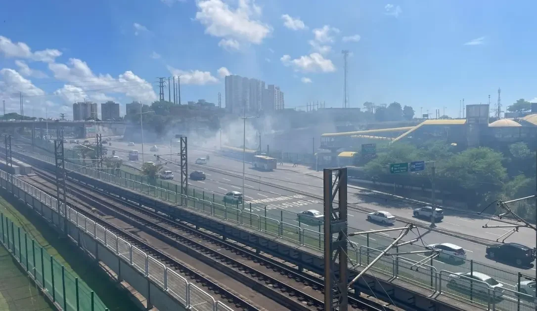 Princípio de incêndio atinge parte de vegetação em Pituaçu