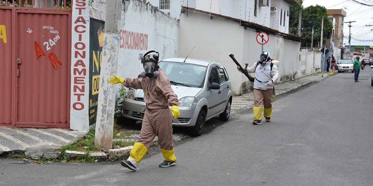Bahia tem mais de 15 mil casos prováveis de dengue