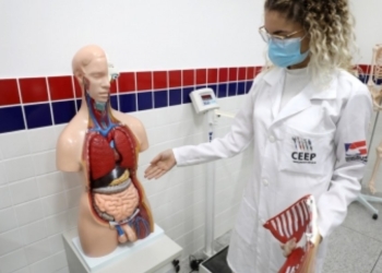 Secretaria de Educação abre inscrições para 3.690 vagas de cursos técnicos