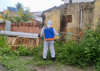 Salvador tem 144 bairros com alta infestação do Aedes aegypti