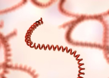 Chuvas em Salvador e os riscos de doenças relacionadas a enchentes