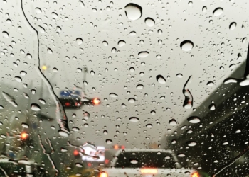 Mais de 65 ocorrências foram registrados pela Codesal