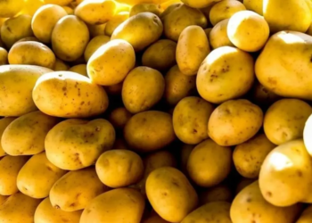 Prévia da inflação registra 0,39% em junho, puxada por alta de mais de 24% no preço da batata inglesa