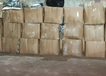 Polícia apreende 330kg de maconha no interior da Bahia