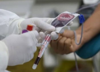 25 de novembro: Dia Nacional do Doador de sangue