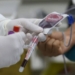 25 de novembro: Dia Nacional do Doador de sangue