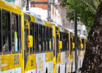 Três linhas de ônibus são reativadas nesta segunda-feira (3)