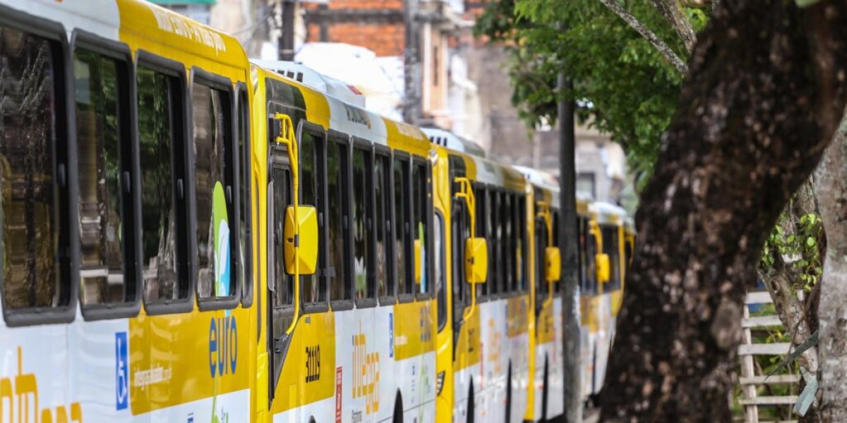 Três linhas de ônibus são reativadas nesta segunda-feira (3)