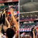 Cachorro ‘comemora’ triunfo do Bahia nos braços da torcida na Fonte Nova; veja vídeo