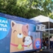 Castramóvel inicia castrações gratuitas para cães e gatos em Plataforma hoje (17)