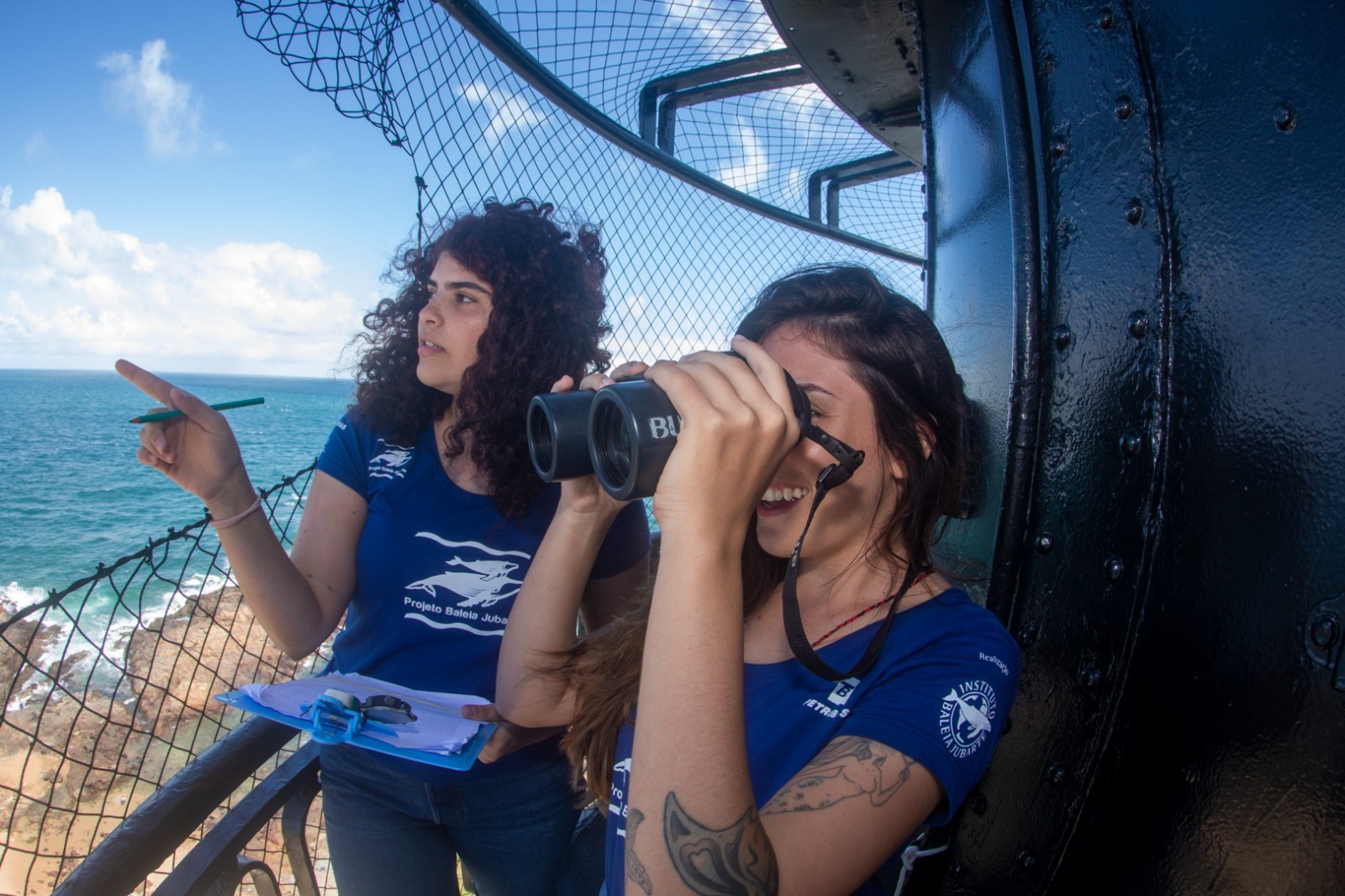 Temporada de observação de baleias jubarte começa nesta quarta (15) em Salvador com ponto no Farol da Barra
