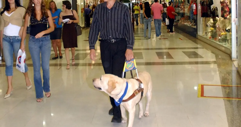 Salvador estabelece multa de até R$ 30 mil para quem impedir acesso de pessoas com cães de assistência