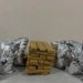 Homem é preso com vasta quantidade de drogas durante ronda em Salvador